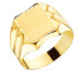 18K SELLO ORO AMARILLO HUECO PARA CABALLERO TALLADO CABEZA 12X10 MM