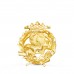 18K INSIGNIA ORO AMARILLO GEOGRAFIA 17 X 14 MM